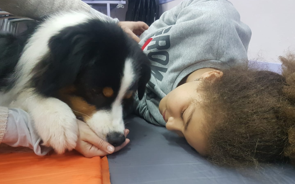 Para un niño con autismo, un perro va más allá de un animal de compañía, ya que se convierte en un apoyo que lo ayuda en todo.