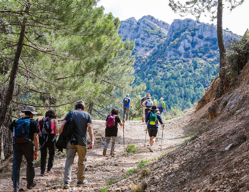 La apuesta de la Diputación por el senderismo nos lleva hasta la Sierra de Alcaraz, a Bienservida, donde emprendemos la ruta La Tejera.