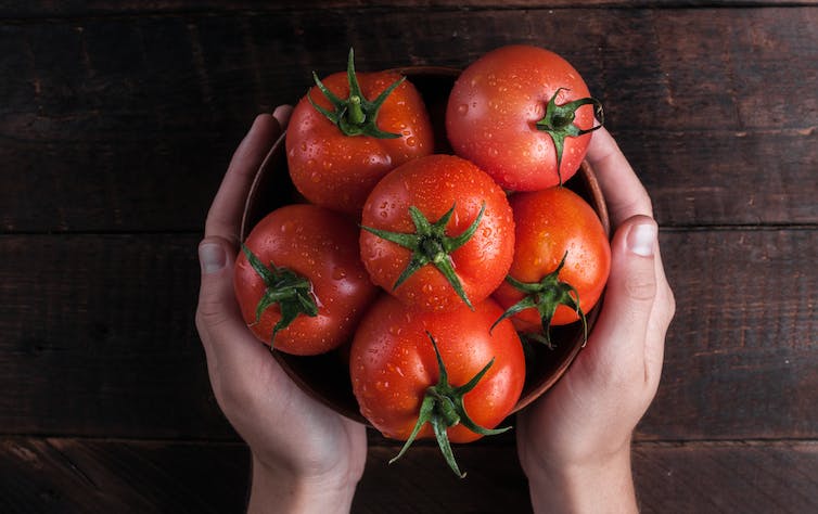 Una nueva investigación suma propiedades al tomate, que se perfila como un antimicrobiano para el tracto digestivo y urinario.